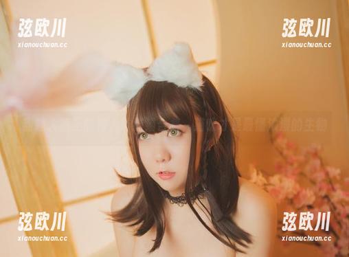 甜糖大魔王的情人节猫猫合集，猫咪才是最懂浪漫的生物